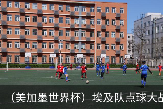 （美加墨世界杯）埃及队点球大战胜澳大利亚队 亚足联队伍全部出局